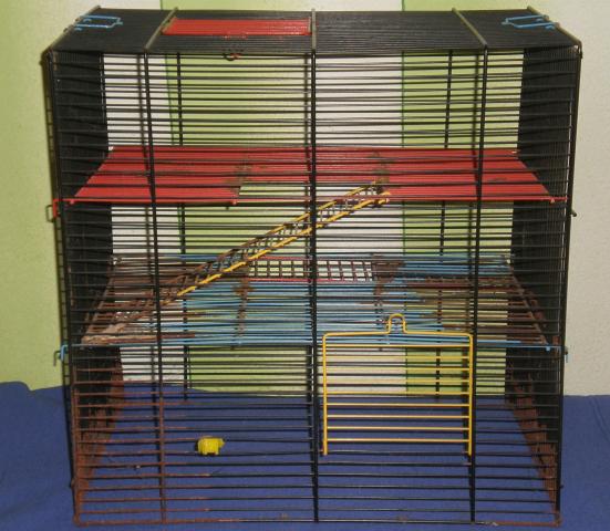 Daiktas Narvelis grauzikams