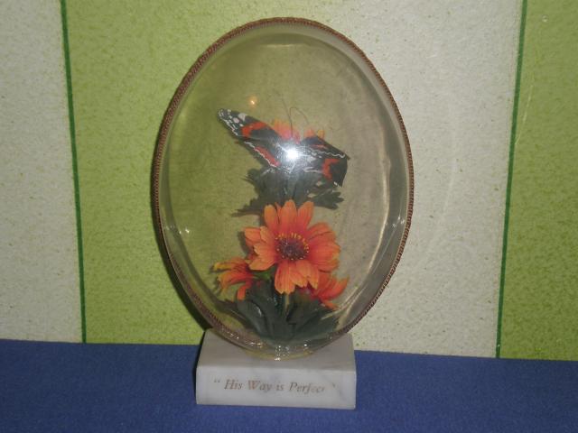 Daiktas Drugelis (raudonasis admirolas) ant geles kiausinyje ant marmurinio pagrindo