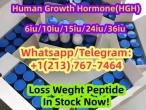 Daiktas Human growth hormone (hgh) 6iu/10iu/12iu/15iu/24iu/36iu peptide