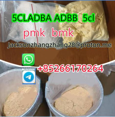 Daiktas High Quality yellow powder 5cladba 5cladbb 5cl 