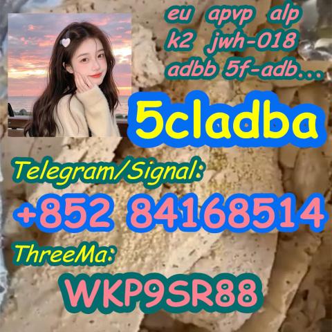 Daiktas 5cladba 5cl-adb-a China supplier 5cladb Raw material Adbb 5f-adb