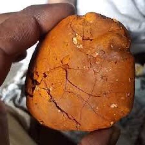 Daiktas Buy cow /ox gallstone available on stock now @whatsApp: +237673528224)