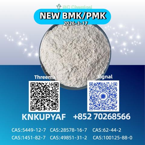 Daiktas pmk glycidate powder | cas 28578-16-7 | factory direct supply
