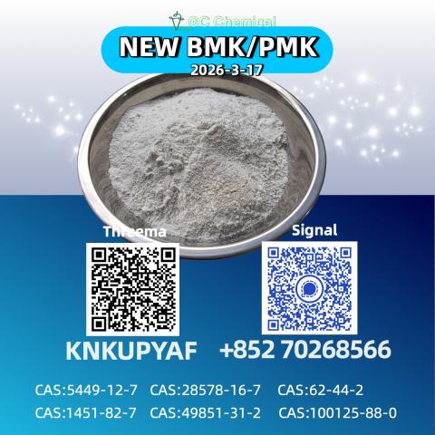 Daiktas high-grade pmk oil (cas 28578-16-7) | manufacturer price