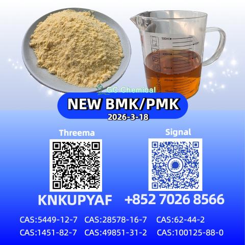 Daiktas 28578-16-7 cas 5449-12-7 bmk powder fctory supply