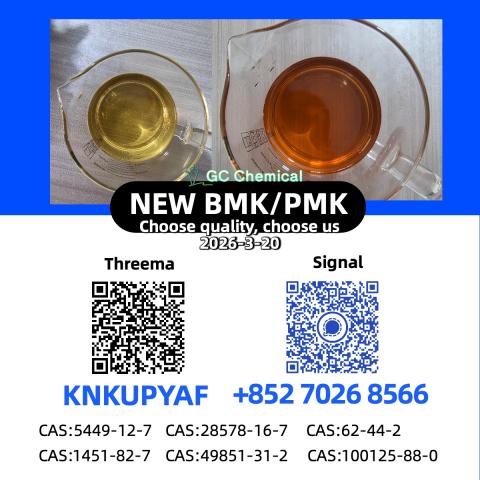 Daiktas 28578-16-7 pmk stock supply bmk csa 5449-12-7pPowder/oil 