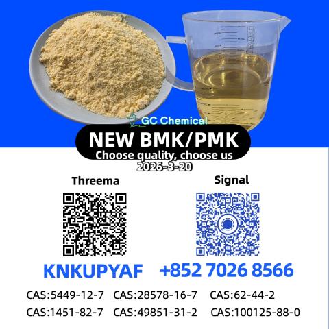 Daiktas High-quality cas 28578-16-7 pmk | 5449-12-7 bmk