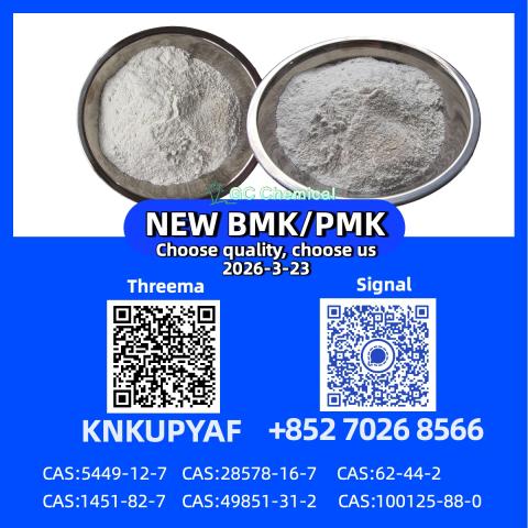Daiktas high-quality 28578-16-7 pmk new bmk 5449-12-7
