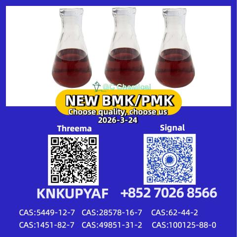 Daiktas New pmk 28578-16-7 bmk 5449-12-7 And 49851-31-2