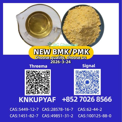 Daiktas cas 28578-16-7 new bmk pmk  powder cas 5449-12-7 | high quality