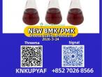 Daiktas New pmk 28578-16-7 bmk 5449-12-7 And 49851-31-2