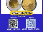 Daiktas cas 28578-16-7 new bmk pmk  powder cas 5449-12-7 | high quality