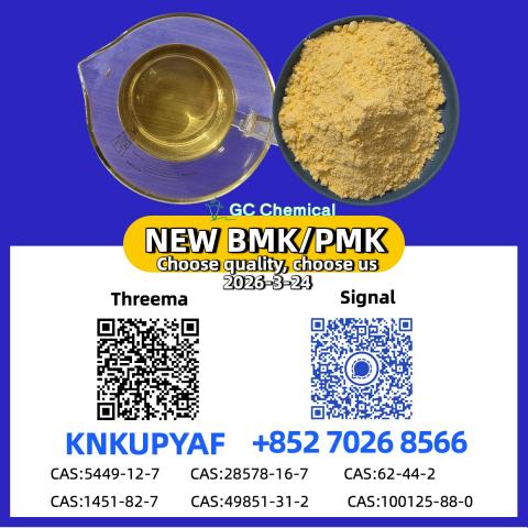 Daiktas 28578-16-7 new bmk pmk powder(cas 5449-12-7