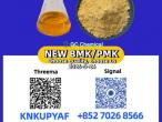Daiktas cas 5449-12-7 new pmk oil (cas 28578-16-7) - ready stock