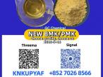 Daiktas 28578-16-7 new bmk pmk powder(cas 5449-12-7