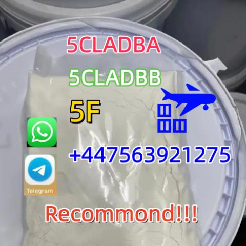 Daiktas free sample yellow powder 5cladba 5cladbb whatsapp:+447563921275