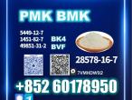 Daiktas CAS 28578-16-7 new pm.k proven supplier