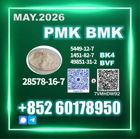 Daiktas 28578-16-7 New pm.k direct supply supplier maggie