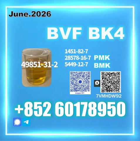 Daiktas bvf 49851-31-25 secure logistics