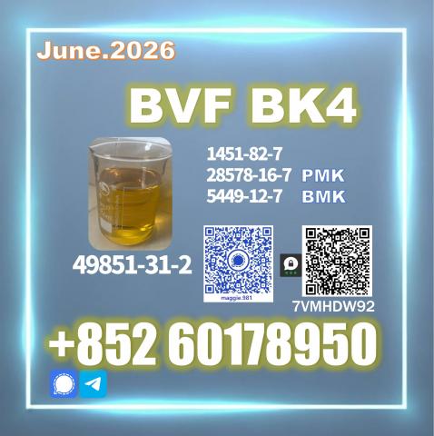 Daiktas bvf 49851-31-2 secure logistics