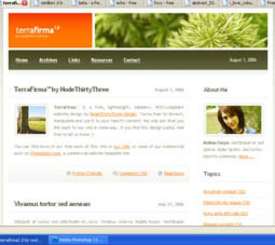 Daiktas TerraFirma dizainas