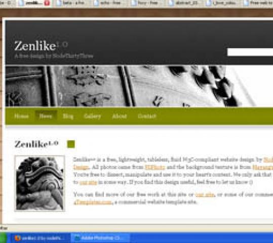 Daiktas Zenlike 1.0 dizainas