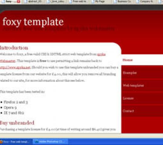 Daiktas Foxy dizainas