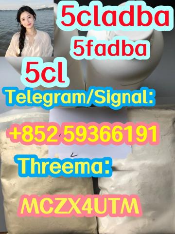 Daiktas from china 5cl-adb supplier 5cl 5cladba 5cl adb vendor precursor