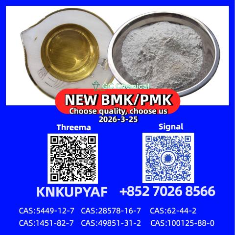 Daiktas pmk.k cas 28578-16-7 supplier |bm.k.k cas 5449-12-7 high purity