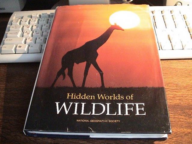 Daiktas National Geographic Society