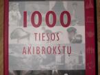 Daiktas 1000 tiesos akibrokstu