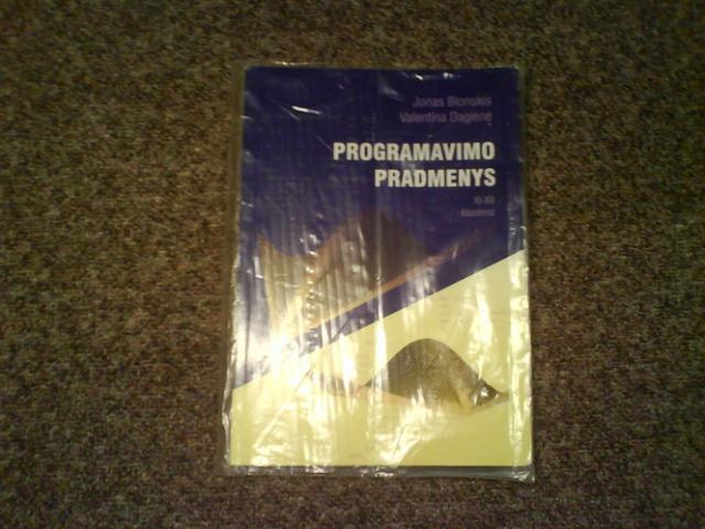 Daiktas Programavimo pagrindai