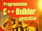 Daiktas Programavimo C++ Builder pavyzdziai