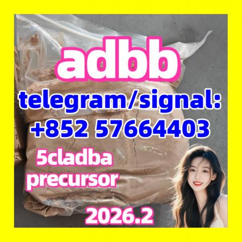 Daiktas 5cladba adbb Precursor