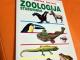 Daiktas Iliustruotas žinynas: Zoologija. Stuburiniai 3,50€