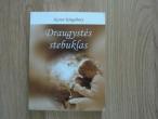 Daiktas Karen Kingsbury "Daugystės stebuklas"