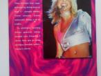 Daiktas Britney Spears knyga