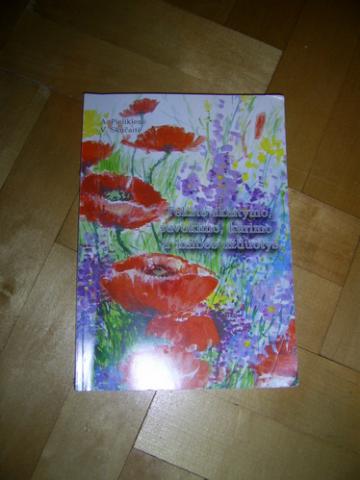 Daiktas suvokimo testai 11-12 okam