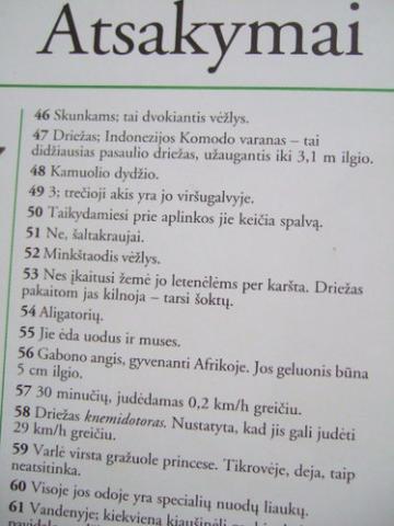 Daiktas knyga intelektualam