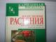 gydomieji augalai Kėdainiai - parduoda, keičia (1)