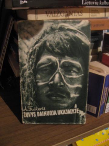 Daiktas Sergejus Kulikas "Kai dvasios praranda galią"