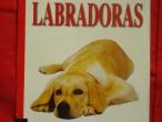 Daiktas Labradoras