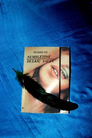 Daiktas Dulkių sauja