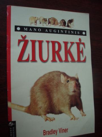 Daiktas Knygutė apie žiukę