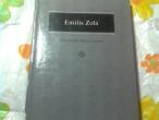 Daiktas Emilis Zola  "Gyvenimo džiaugsmas"