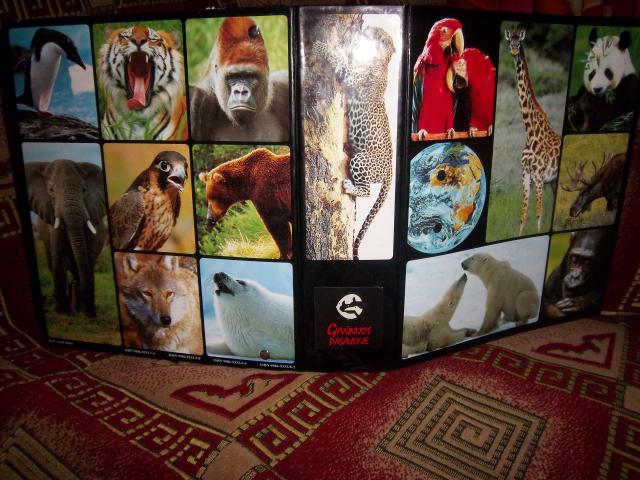 Daiktas Knyga Gyvunijos pasaulyje