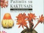 Daiktas Pažintis su kaktusais