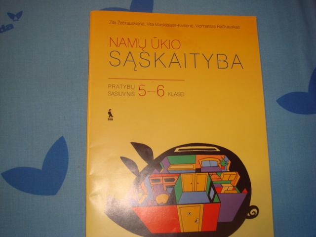 Daiktas Namų ukio saskaityba,5-6klasei pratybos