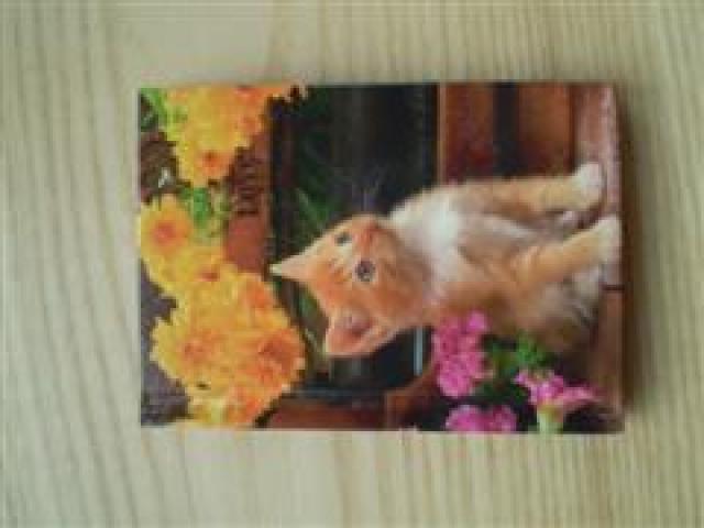 Daiktas Adresų knygutė